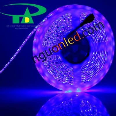 Đèn led dây Hàn Quốc xanh dương