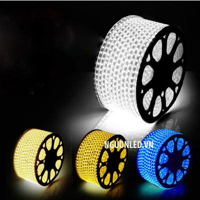 Led cuộn 5050 100m 220V ngoài trời