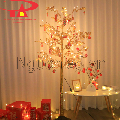 Cây đèn đồng tiền 1.5m