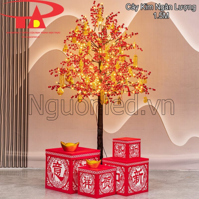 Cây kim ngân lượng 1.5m