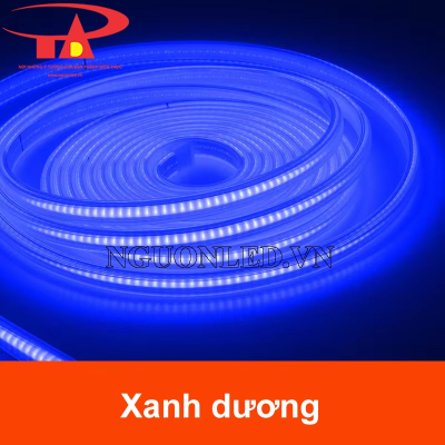 Đèn led dây COB 220V màu xanh dương