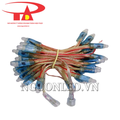 Led đúc f8 12V IC 8208 full màu
