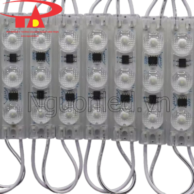Led module 3 bóng 220V